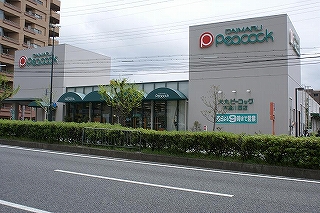 Supermarket. Daimarupikokku until the (super) 441m