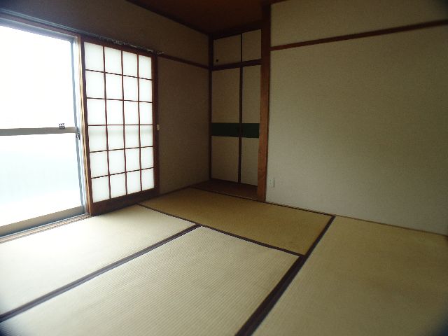 Living and room. Bright rooms