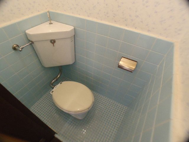 Toilet. Clean water around