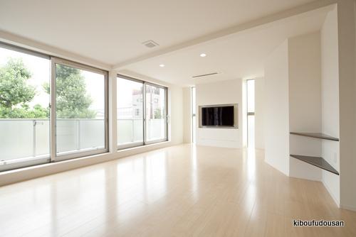 Same specifications photos (living). Construction Case