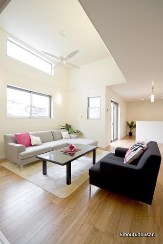 Same specifications photos (living). Construction Case