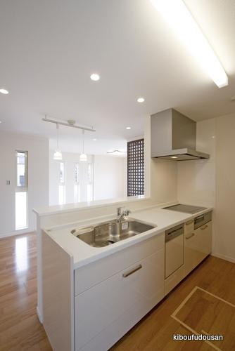 Same specifications photo (kitchen). Construction Case