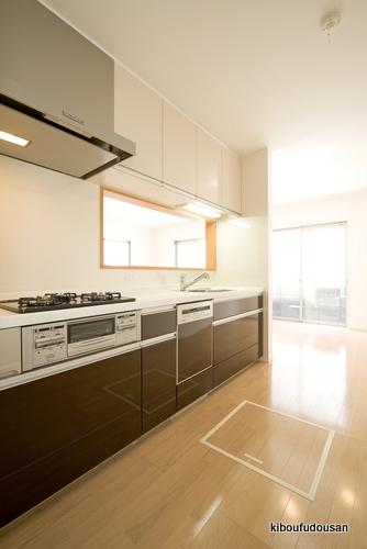 Same specifications photo (kitchen). Construction Case