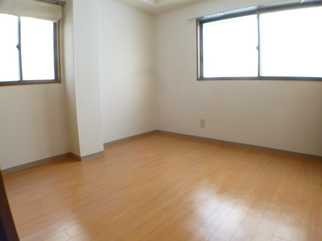 Living and room. Bright two-sided lighting Western-style