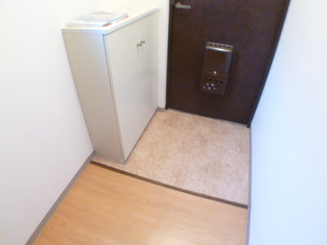 Entrance. Wash basin with a shoe box