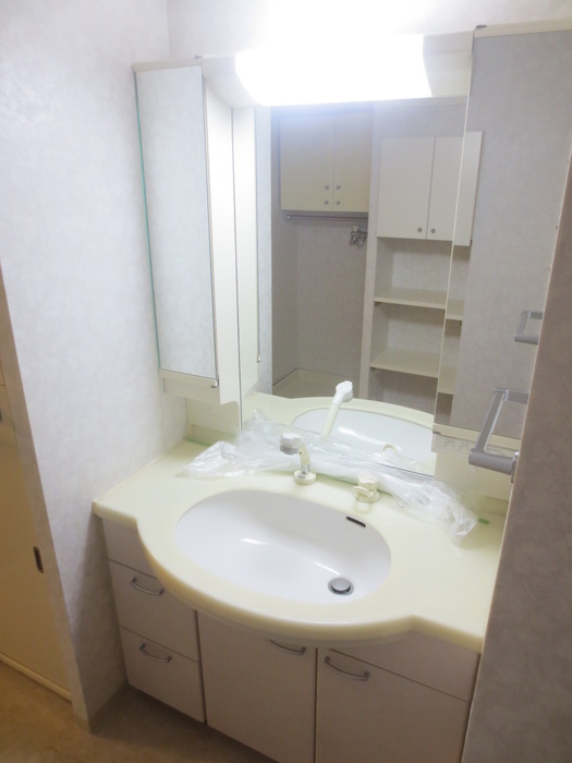 Washroom. Large washbasin