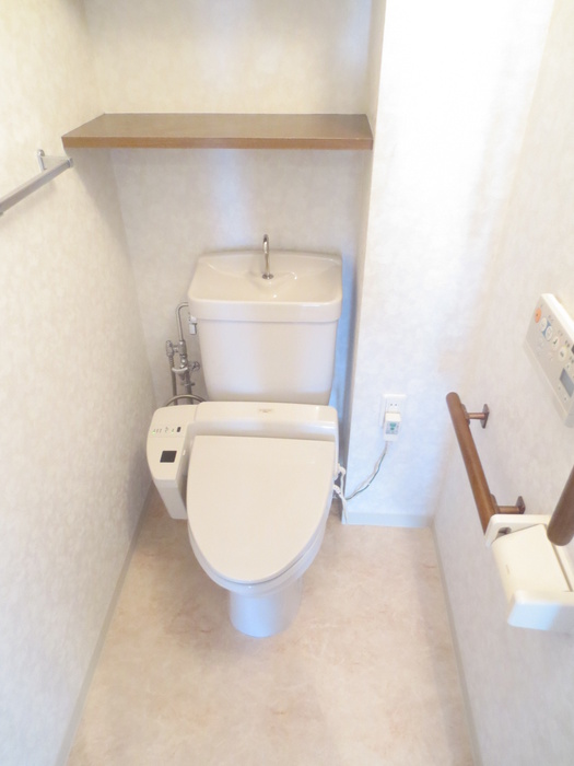 Toilet. Toilet with cleanliness