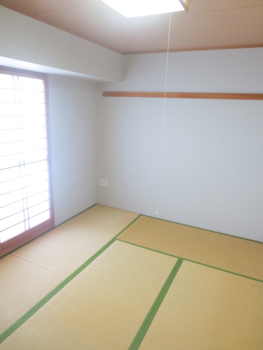Other room space. Japanese style room