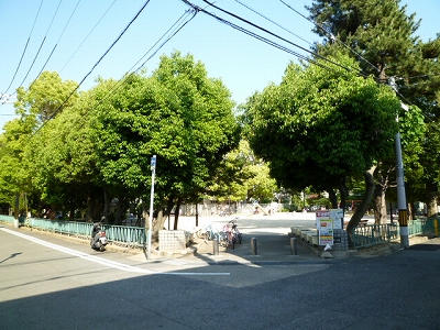 park. 155m to the park (park)