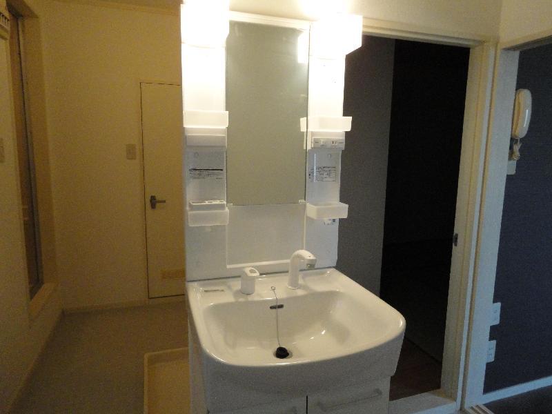 Washroom. Bathroom vanity