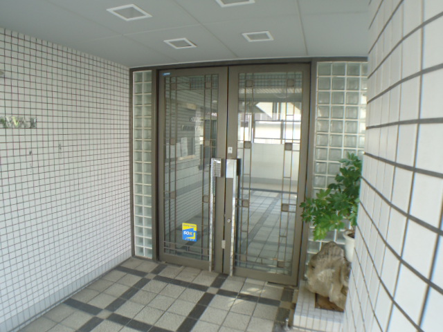 Entrance. Entrance part is also to clean