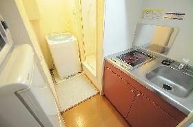 Kitchen. Electric heating type of stove is 2-neck