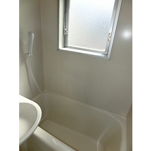 Bath. Bathroom with window