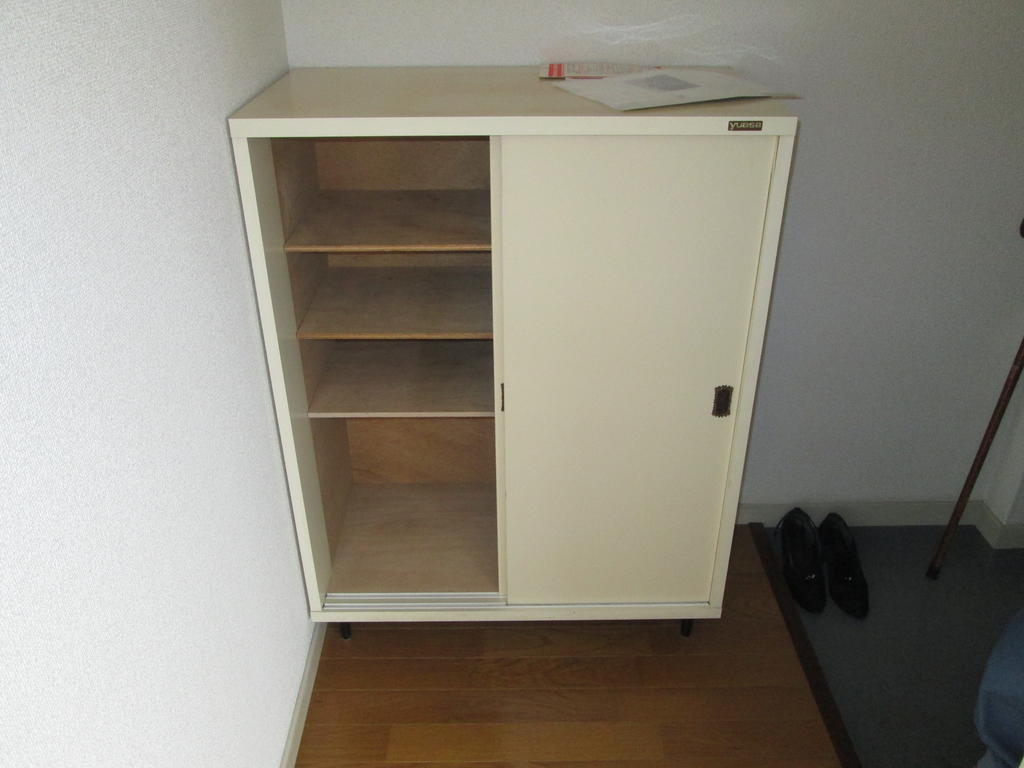 Entrance. There are shoe box.