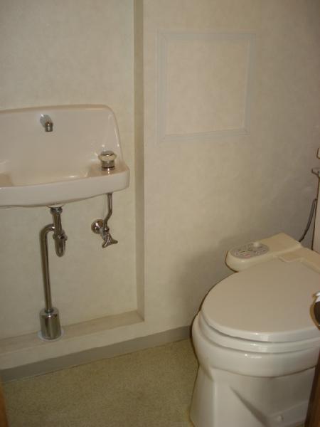 Living and room. Toilet