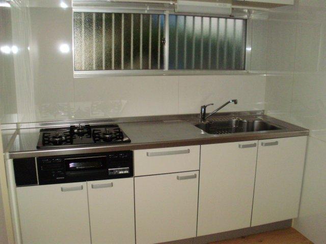 Kitchen. Indoor (11 May 2013) Shooting