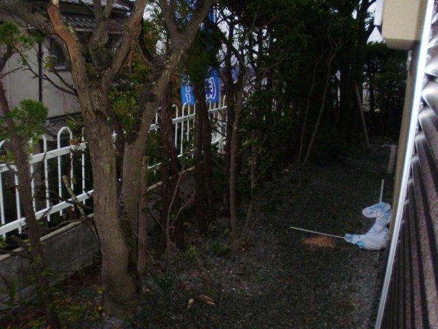 Garden. Local (11 May 2013) Shooting