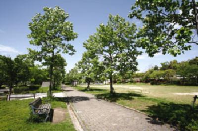 park. 300m to the park (park)