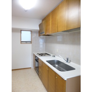 Kitchen. System kitchen