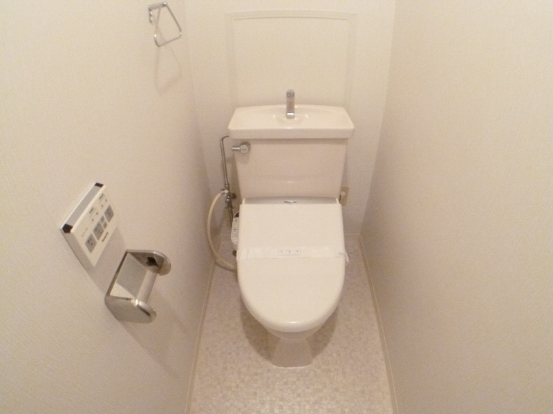 Toilet. Clean toilet in making simple.