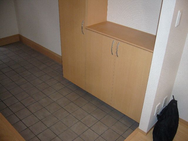 Entrance. Spacious entrance