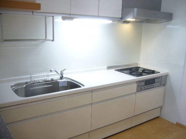 Kitchen. Larger system Gasukitchin