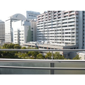 View. The view from the southwest side balcony