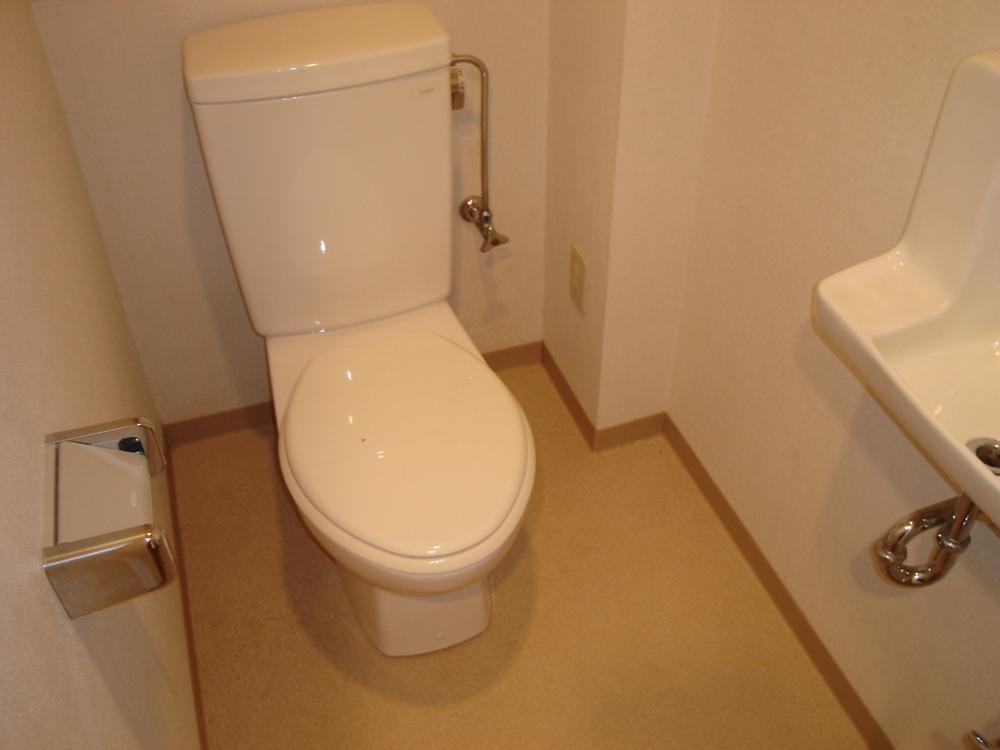 Toilet. Toilet with cleanliness