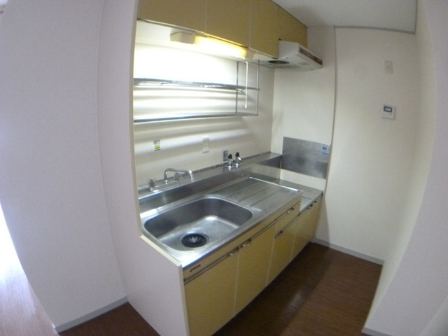 Kitchen. Housewife ally 3-neck gas stove installation Allowed.