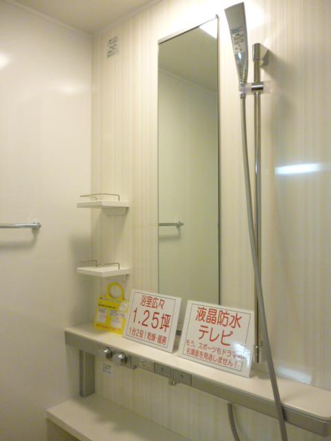 Bathroom. 1620 (1.25 square meters) type of bathroom