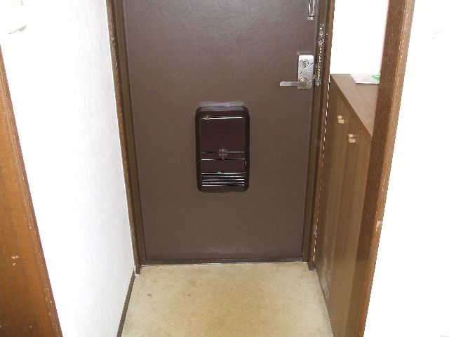 Entrance. Shoes BOX.