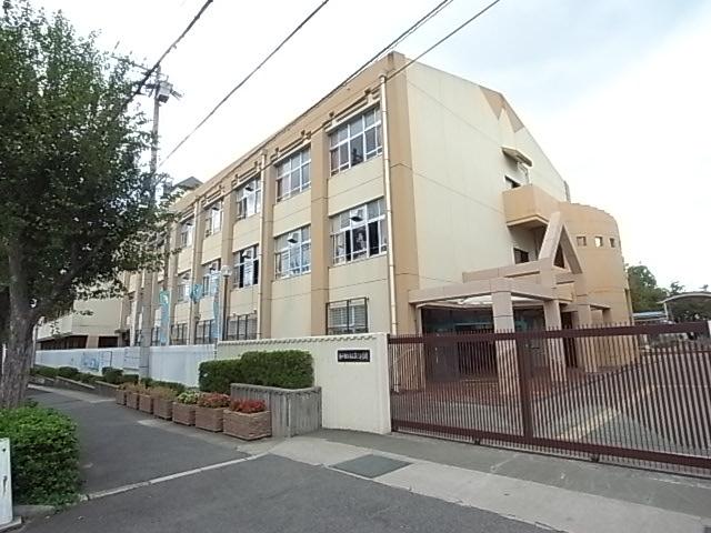 Other local. Motoyama Third elementary school