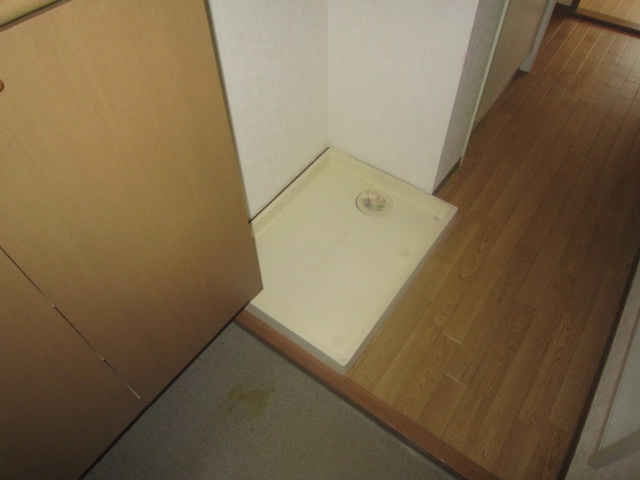 Other room space. Washing machine in the room