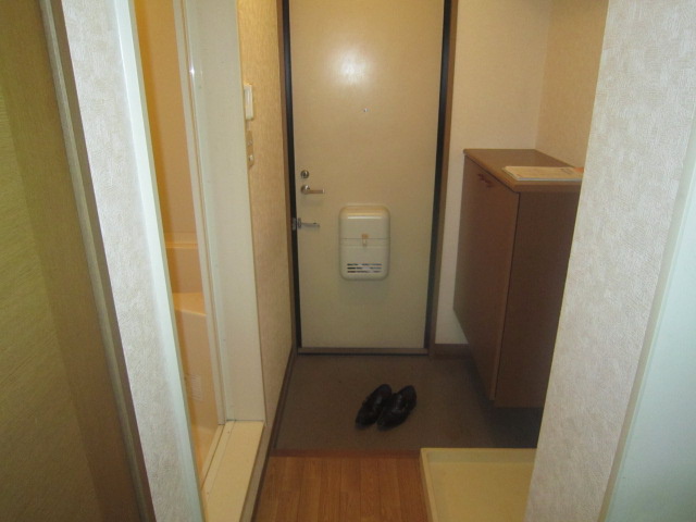 Entrance. There is a shoe box.