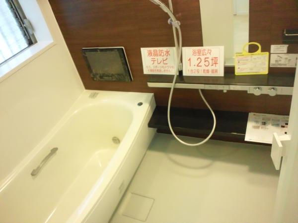 Bathroom. Bathroom with TV! Spacious design that comfortably put in the parent and child!