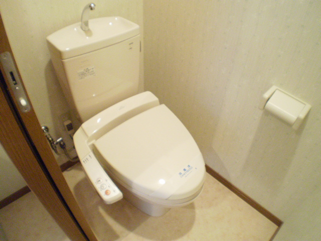 Toilet. Toilet with a bidet