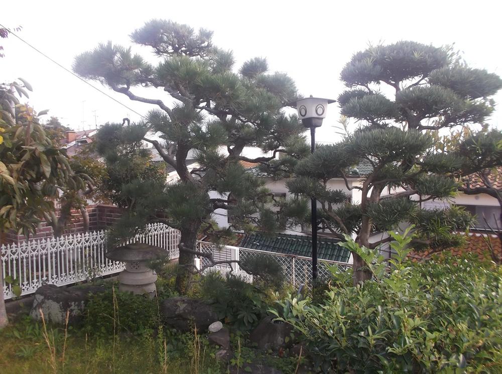 Garden. Local (11 May 2013) Shooting