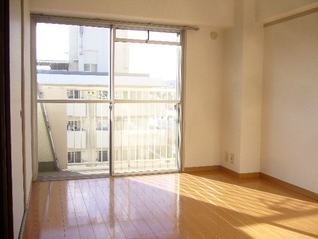 Living and room. Bright room.