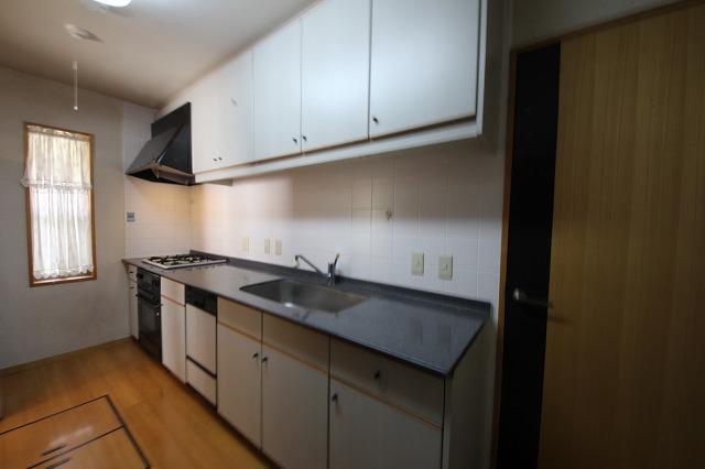 Kitchen. Dish washing dryer, System kitchen with a built-in oven