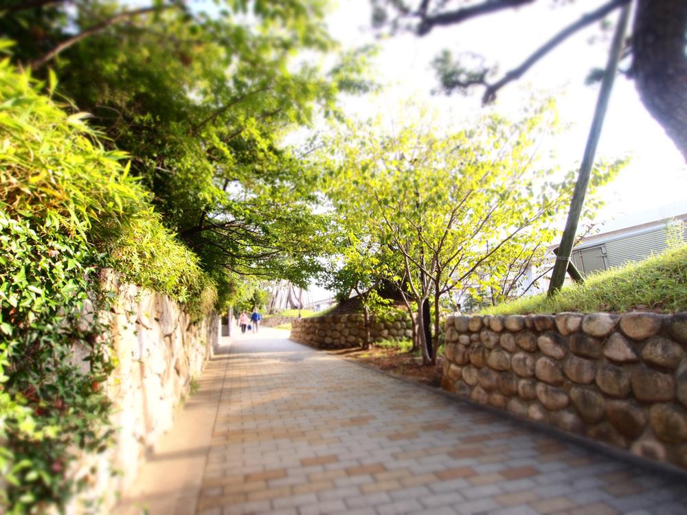 Streets around. Sumiyoshi River along the road along the Sumiyoshi River from 280m Station to the skyline, It will be healed in the green of the four seasons. 