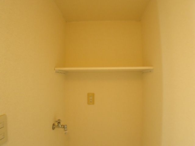 Other. There is a shelf on top of the washing bread.