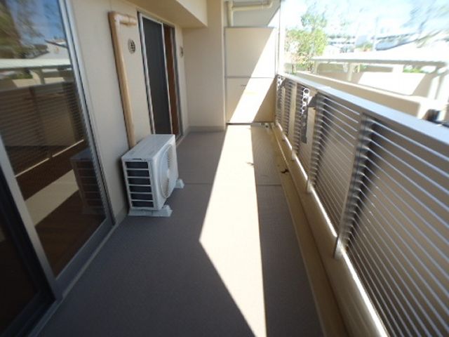 Balcony. South-facing balcony. It dries down pat laundry.