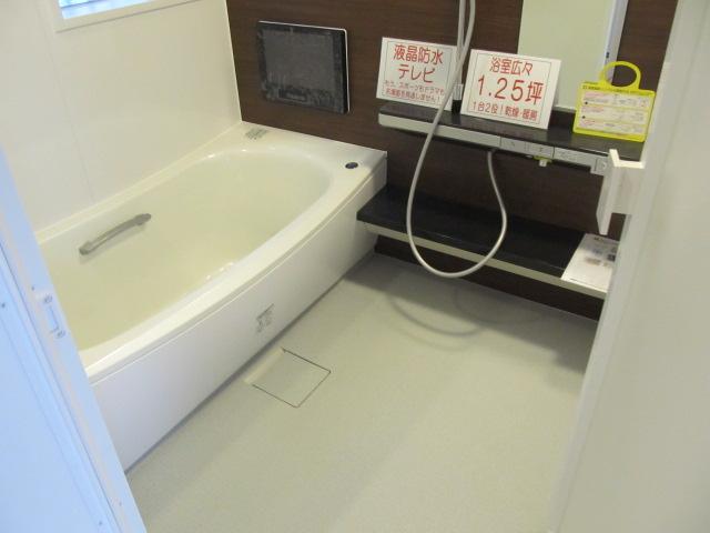 Bathroom. (December 2013) Shooting