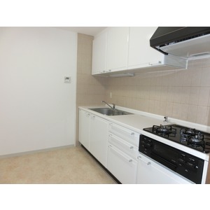 Kitchen. Gas stove (three-necked) with the system kitchen (it had made)