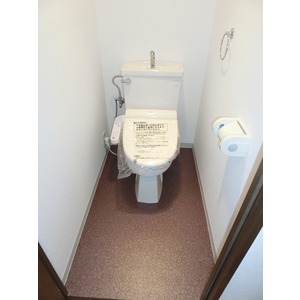 Toilet. Hot water cleaning function with toilet seat