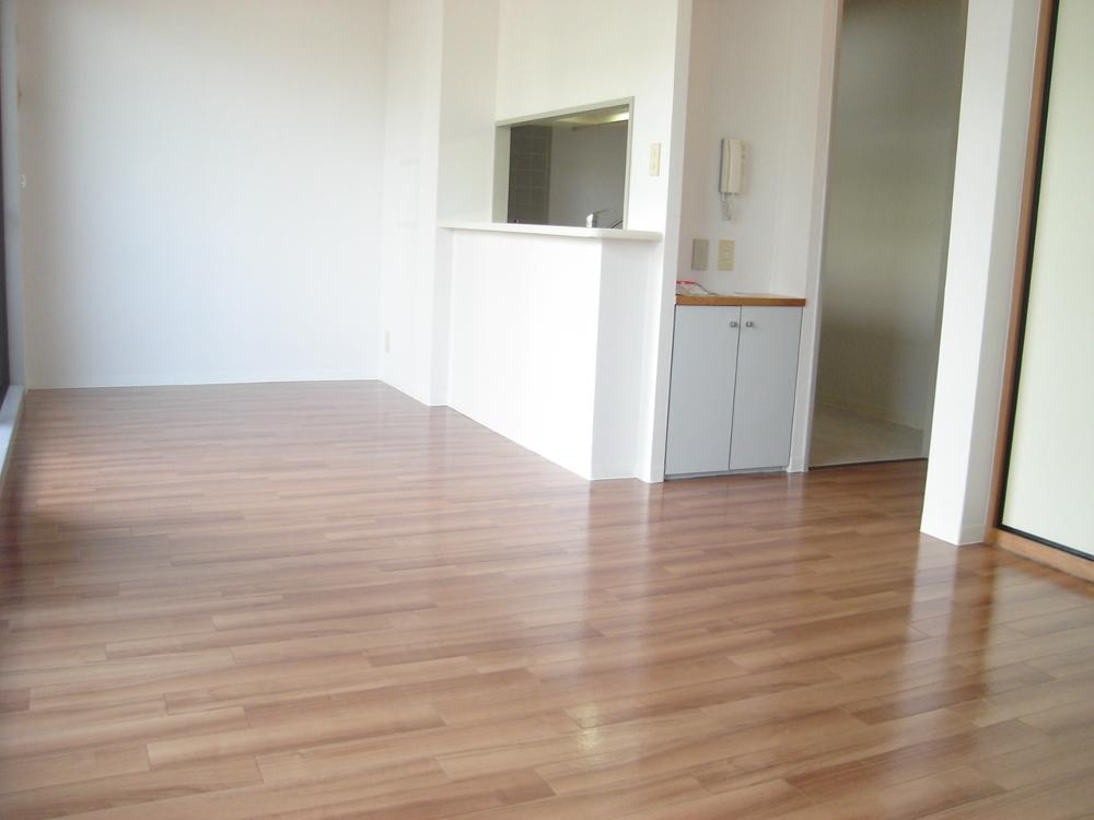 Living and room. Sunny spacious living