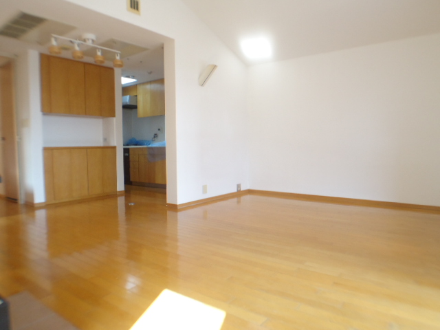 Living and room. Spacious living room