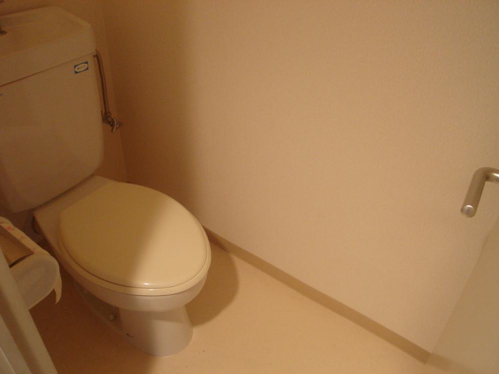 Toilet. Clean toilets