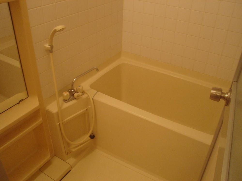 Bath. Spacious bathroom