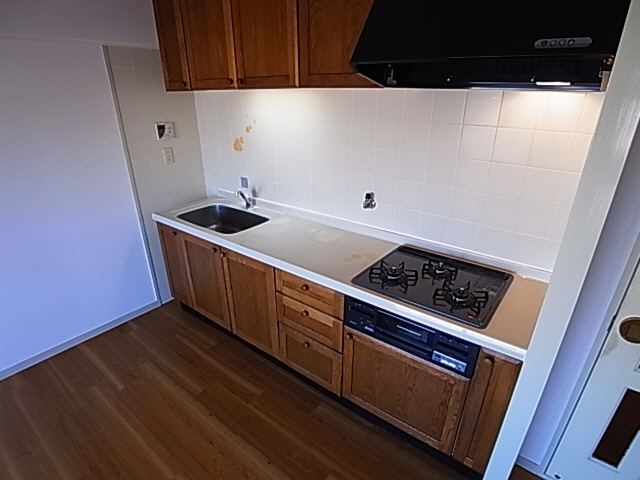 Kitchen. System kitchen (gas three-necked)